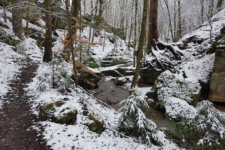Im Salamandertal &ndash; (28.02.2020, S. Dassler &copy;&nbsp;VGN GmbH)
