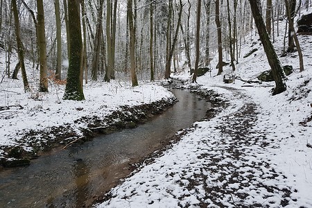 Im Salamandertal &ndash; (28.02.2020, S. Dassler &copy;&nbsp;VGN GmbH)