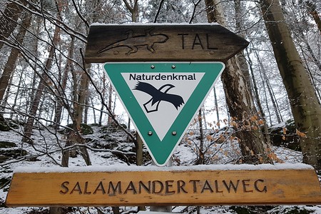 Salamandertalweg &ndash; (28.02.2020, S. Dassler &copy;&nbsp;VGN GmbH)