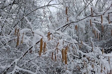 Im Schnee &ndash; (28.02.2020, S. Dassler &copy;&nbsp;VGN GmbH)