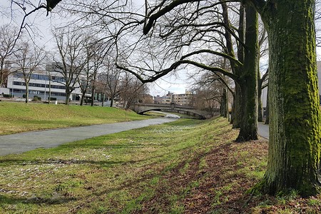 Roter Main &ndash; (28.02.2020, S. Dassler &copy;&nbsp;VGN GmbH)