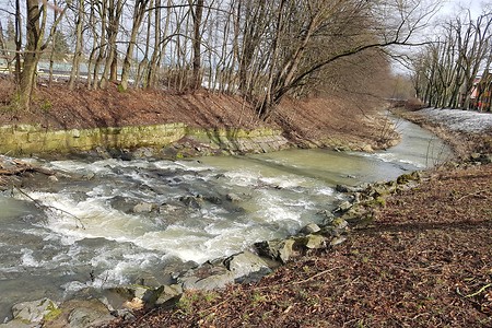 Mistel &ndash; (28.02.2020, S. Dassler &copy;&nbsp;VGN GmbH)