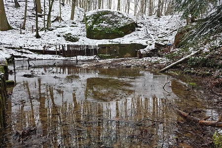 Wasserspiegelung im Teufelsgraben &ndash; (28.02.2020, S. Dassler &copy;&nbsp;VGN GmbH)