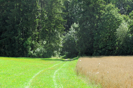 Unser Weg &ndash; (VGN &copy;&nbsp;VGN GmbH)