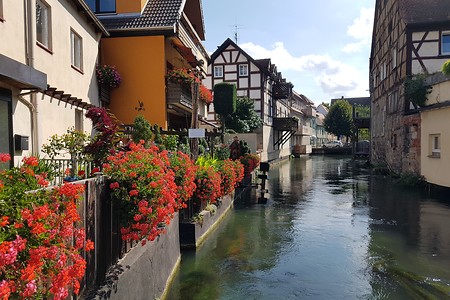 Fachwerkhäuser an der Wiesent &ndash; (14.09.2019, S. Dassler &copy;&nbsp;VGN GmbH)