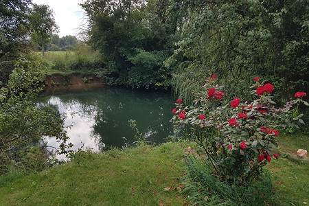 Romantisches an der Wiesent &ndash; (14.09.2019, S. Dassler &copy;&nbsp;VGN GmbH)