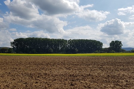 Weite Flur &ndash; (14.09.2019, S. Dassler &copy;&nbsp;VGN GmbH)