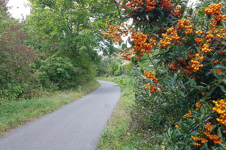 Herbstliches am Wegesrand &ndash; (14.09.2019, S. Dassler &copy;&nbsp;VGN GmbH)
