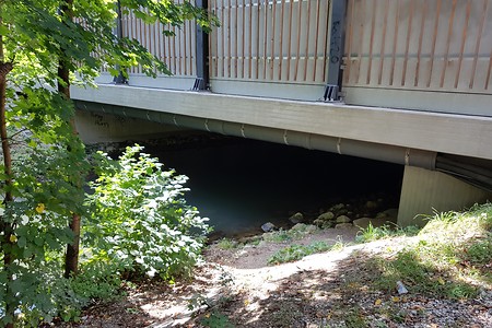 Mündung der Wiesent &ndash; (14.09.2019, S. Dassler &copy;&nbsp;VGN GmbH)