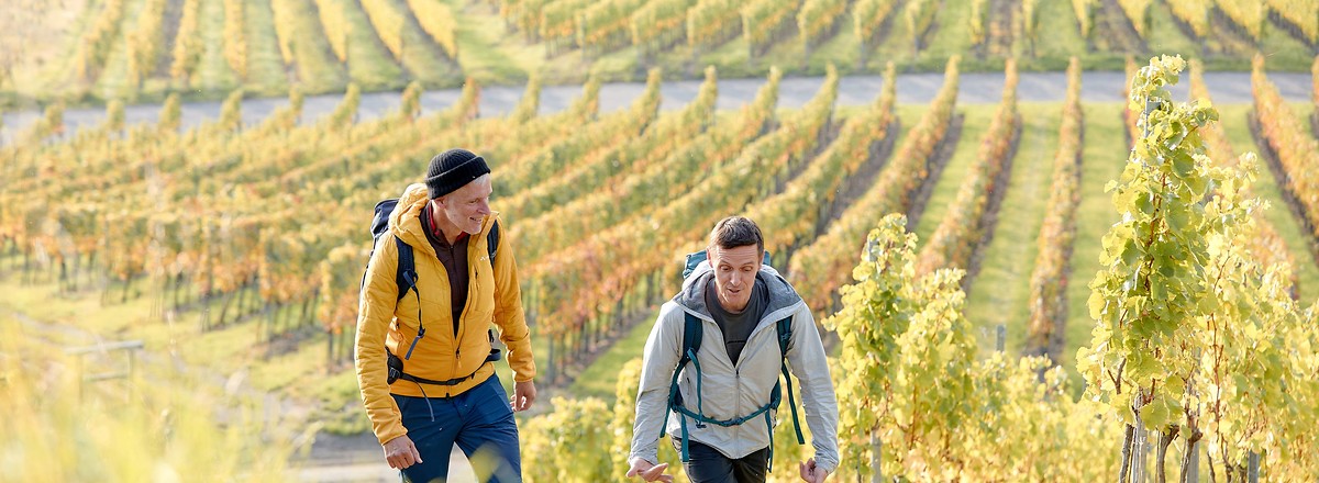 Wein, so weit das Auge reicht: Im fränkischen Weinparadies. &ndash;  (&copy;&nbsp;VGN/A. Gaspar-Klein)