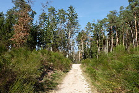 KW14_06 &ndash; (05.02.2018, VGN &copy;&nbsp;VGN GmbH)