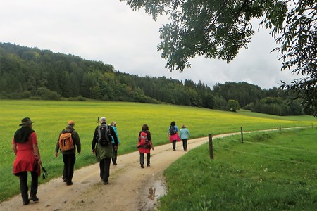 Im Rohrachtal &ndash; (13.02.2018, VGN &copy;&nbsp;VGN GmbH)