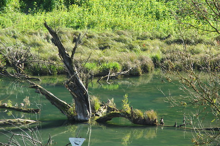 Biotop 2 &ndash; (13.02.2018, VGN &copy;&nbsp;VGN GmbH)