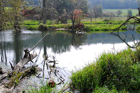 Biotop 4 &ndash; (13.02.2018, VGN &copy;&nbsp;VGN GmbH)