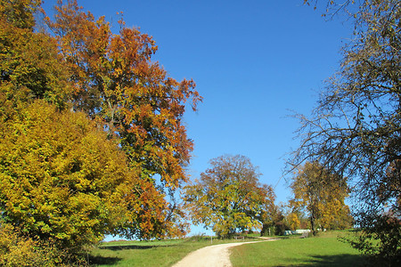Herbststimmung &ndash; (13.02.2018, VGN &copy;&nbsp;VGN GmbH)