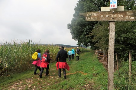 Richtungswegweiser &ndash; (13.02.2018, VGN &copy;&nbsp;VGN GmbH)