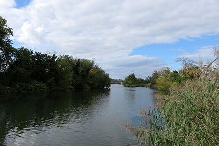 Mainufer &ndash; (29.09.2015, VGN &copy;&nbsp;VGN GmbH)