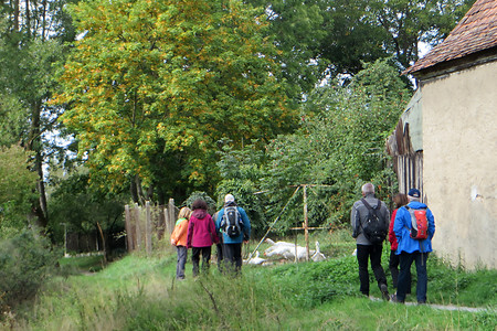 Am Sickerbach &ndash; (29.09.2015, VGN &copy;&nbsp;VGN GmbH)