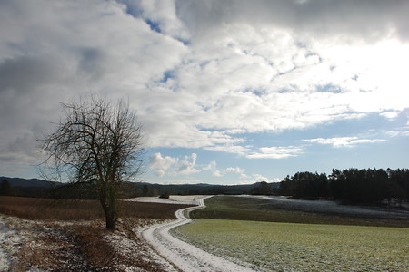Wolkenhimmel &ndash; (18.01.2019, U. Buescher &copy;&nbsp;VGN GmbH)