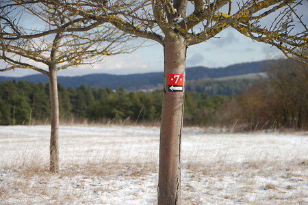 Wegweiser am Baum &ndash; (18.01.2019, U. Buescher &copy;&nbsp;VGN GmbH)