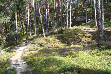 Waldpfad unterhalb der Sandsteinfelsen &ndash; (VGN &copy;&nbsp;VGN GmbH)