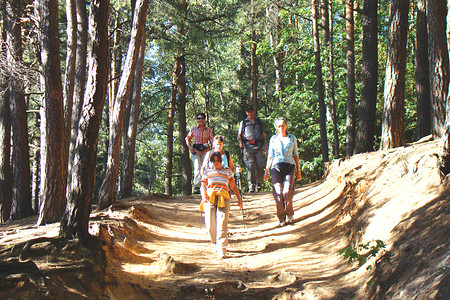 Der Wanderweg &ndash; (VGN &copy;&nbsp;VGN GmbH)