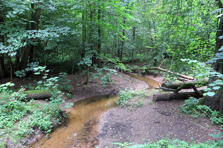 Goldbach &ndash; (06.07.2016, VGN &copy;&nbsp;VGN GmbH)