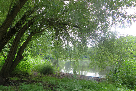 Kleiner Valznerweiher &ndash; (06.07.2016, VGN &copy;&nbsp;VGN GmbH)