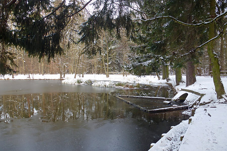 Winter am Valznerweiher &ndash; (VGN &copy;&nbsp;VGN GmbH)