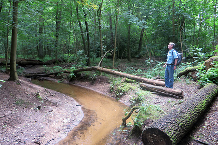 Pfad am Goldbach &ndash; (06.07.2016, VGN &copy;&nbsp;VGN GmbH)