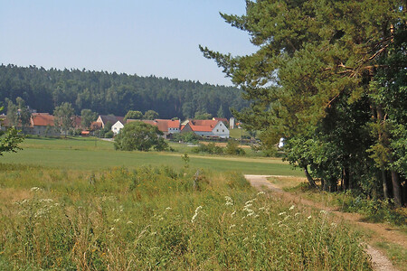 Am Waldrand vor Kirschendorf &ndash; (26.07.2012, VGN &copy;&nbsp;VGN GmbH)