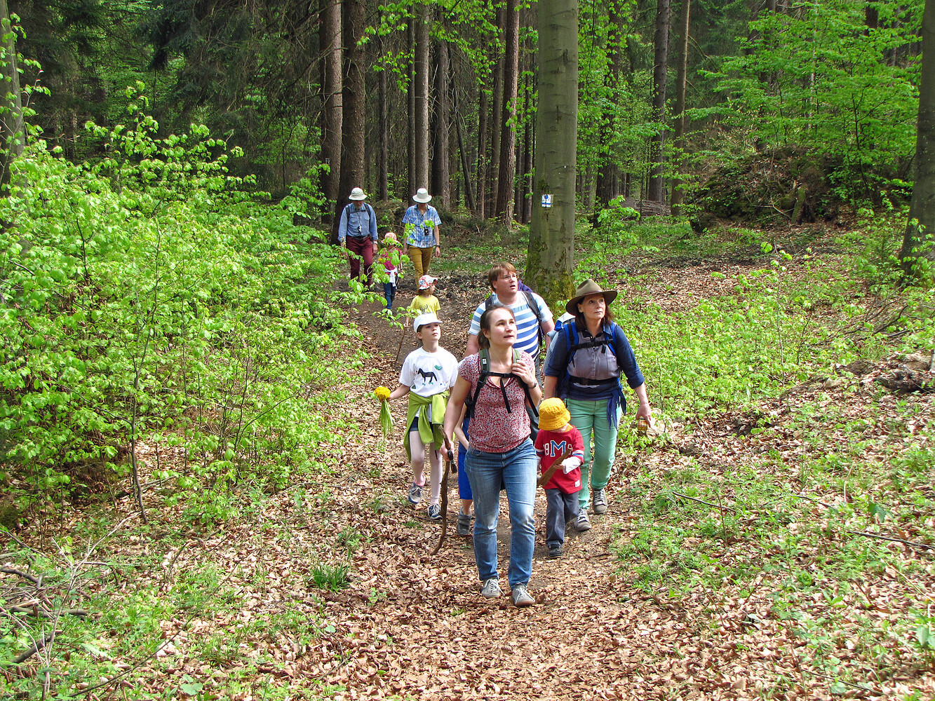 Aufstieg zur Höhle &ndash;  (26.04.2014, VGN &copy;&nbsp;VGN GmbH)