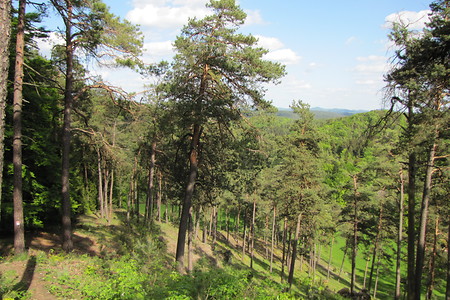 Aussicht auf dem Tannberg &ndash; (VGN &copy;&nbsp;VGN GmbH)