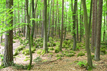 Am Judenfriedhof &ndash; (VGN &copy;&nbsp;VGN GmbH)