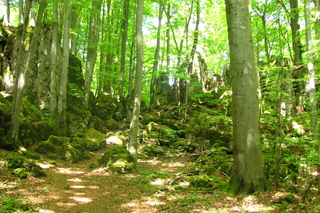 Einstieg zum Eibgrat &ndash; (VGN &copy;&nbsp;VGN GmbH)