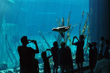 Blauer Salon im Tiergarten &ndash; (Tiergarten Nürnberg &copy;&nbsp;Tiergarten Nürnberg)