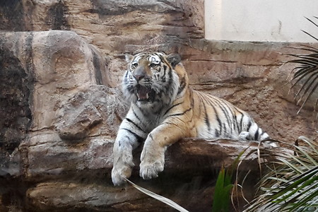 Im Tiergarten &ndash; (11.05.2018, VGN &copy;&nbsp;VGN GmbH)