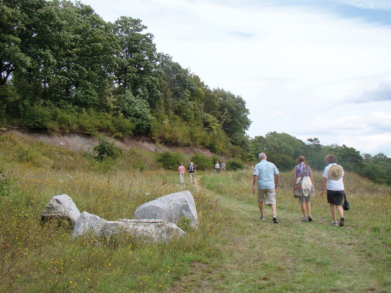 Brachfläche am Weg &ndash;  (15.08.2011, VGN &copy;&nbsp;VGN GmbH)