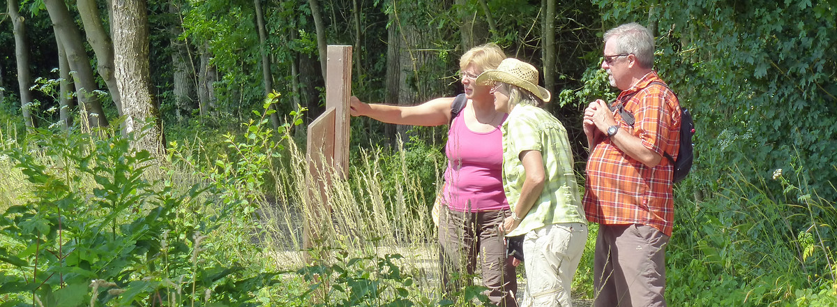 Infotafel am Hammerbacher Mühlenweg &ndash;  (03.07.2014, VGN &copy;&nbsp;VGN GmbH)