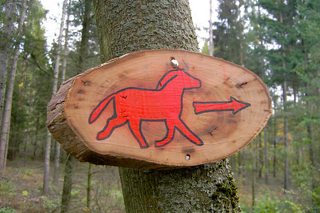 Hier geht's zu den Wildpferden... &ndash; (04.02.2003, VGN &copy;&nbsp;VGN GmbH)