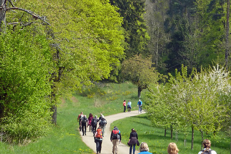 Am Hetzleser Berg &ndash; (21.04.2014, VGN &copy;&nbsp;VGN GmbH)