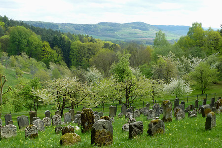 Ermreuther Judenfriedhof &ndash; (21.04.2014, VGN &copy;&nbsp;VGN GmbH)