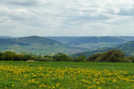 Blumenwiese mir Ausblick &ndash; (21.04.2014, VGN &copy;&nbsp;VGN GmbH)