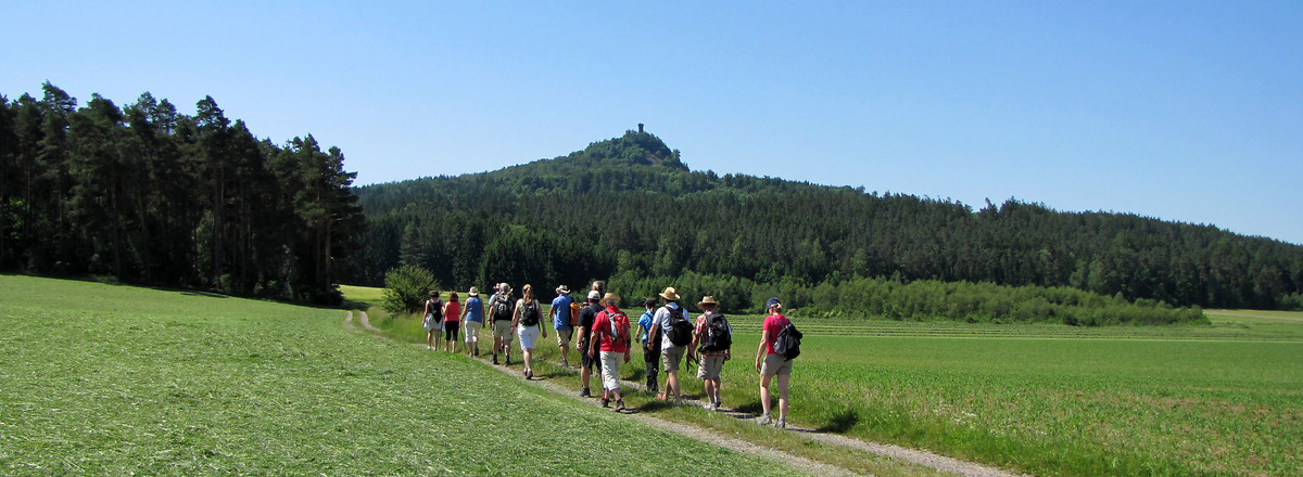 Auf dem Weg zum Rauhen Kulm &ndash;  (VGN &copy;&nbsp;VGN GmbH)