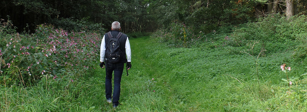 Wiesenweg &ndash;  (09.02.2018, VGN &copy;&nbsp;VGN GmbH)