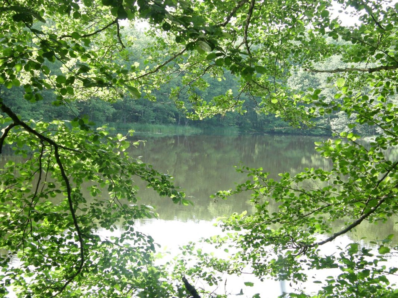 Blick auf den Hirschteich &ndash;  (Regina Bremm &copy;&nbsp;Romantisches Franken)