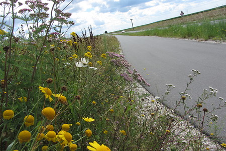 Weg nach Veitsbronn &ndash; (10.07.2016, schreibwerk &copy;&nbsp;schreibwerk)
