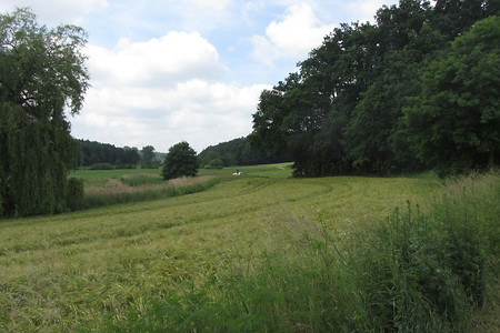 Zenntal &ndash; (10.07.2016, schreibwerk &copy;&nbsp;schreibwerk)