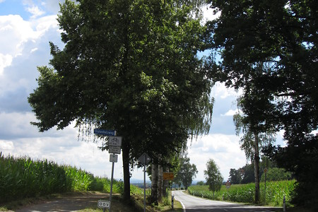 Weg &ndash; (10.07.2016, schreibwerk &copy;&nbsp;schreibwerk)