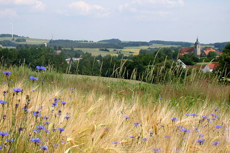 Blick auf Creußen &ndash; (VGN &copy;&nbsp;VGN GmbH)